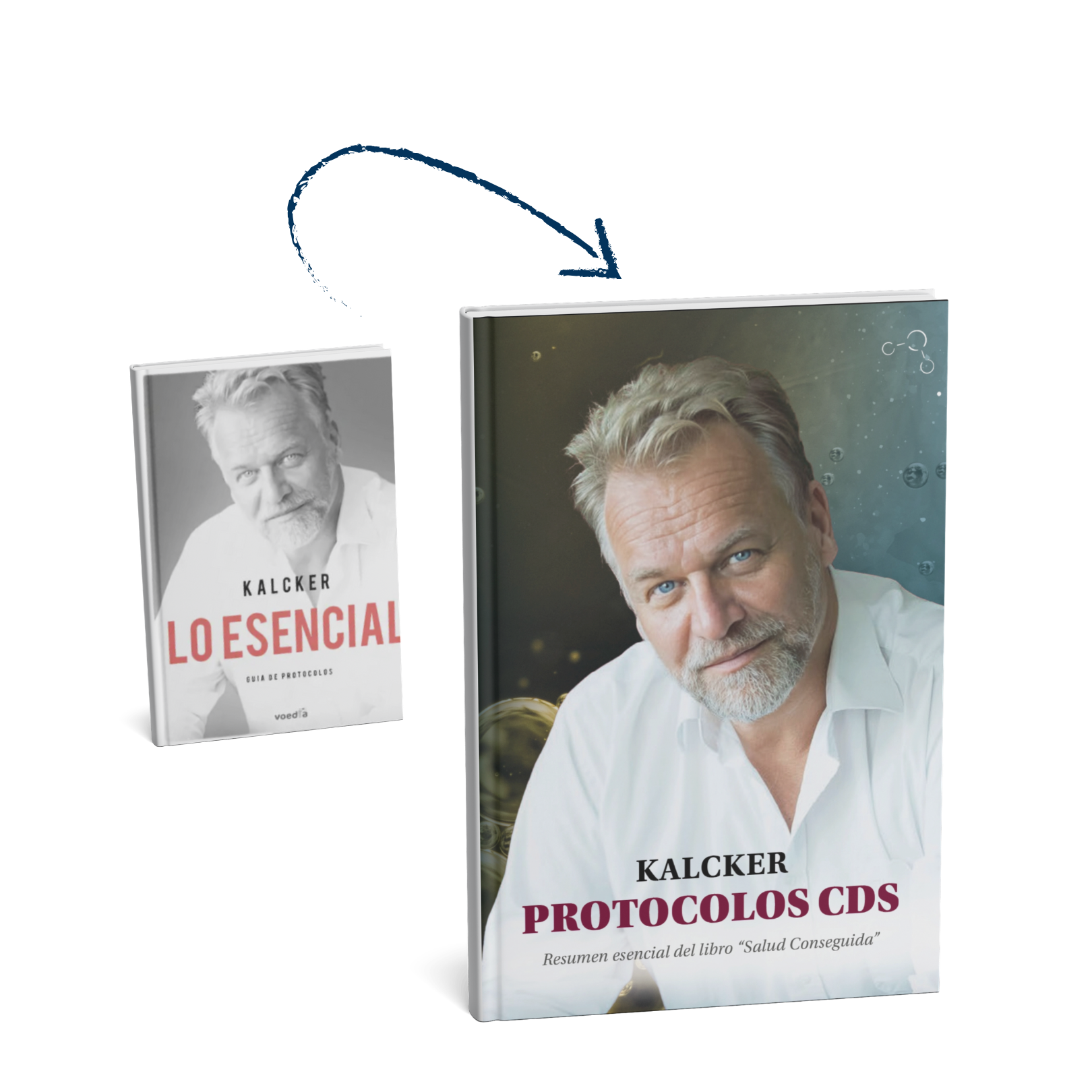 "The Essential" protocol guide, Kalcker