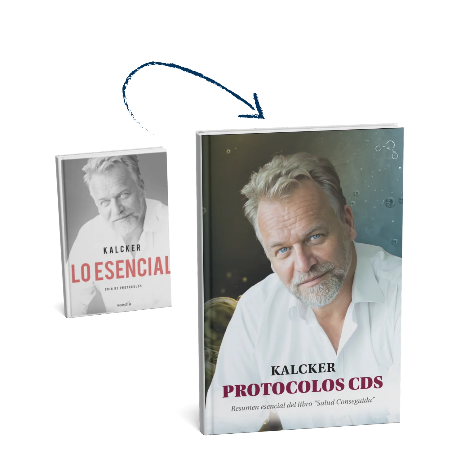protocolos cds kalcker