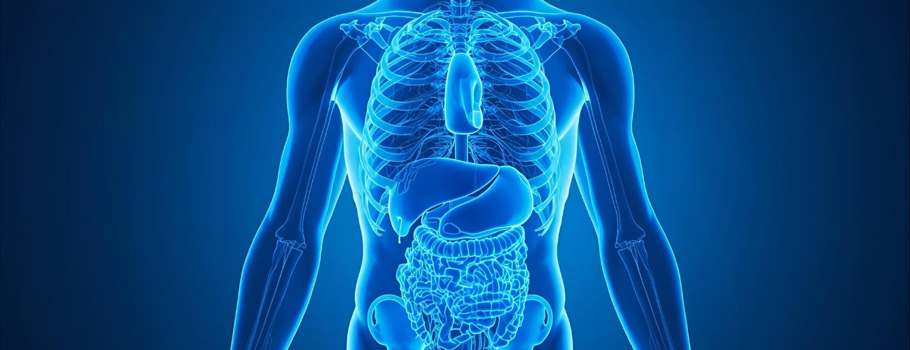 ¿El orotato de litio es tóxico?