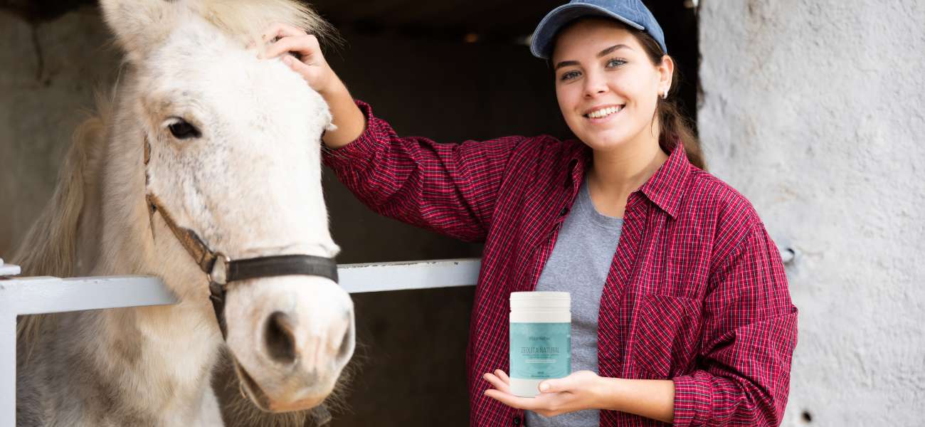 Zeolita para Caballos