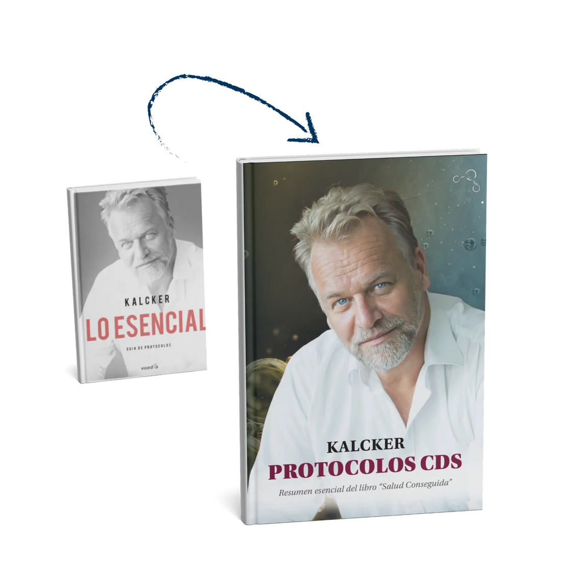 protocolos cds kalcker